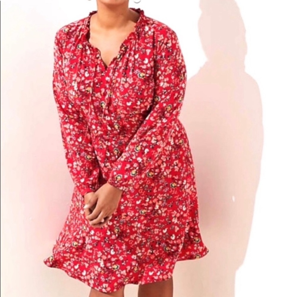 Loft Plus Red Floral Swing Dress Sz 24W